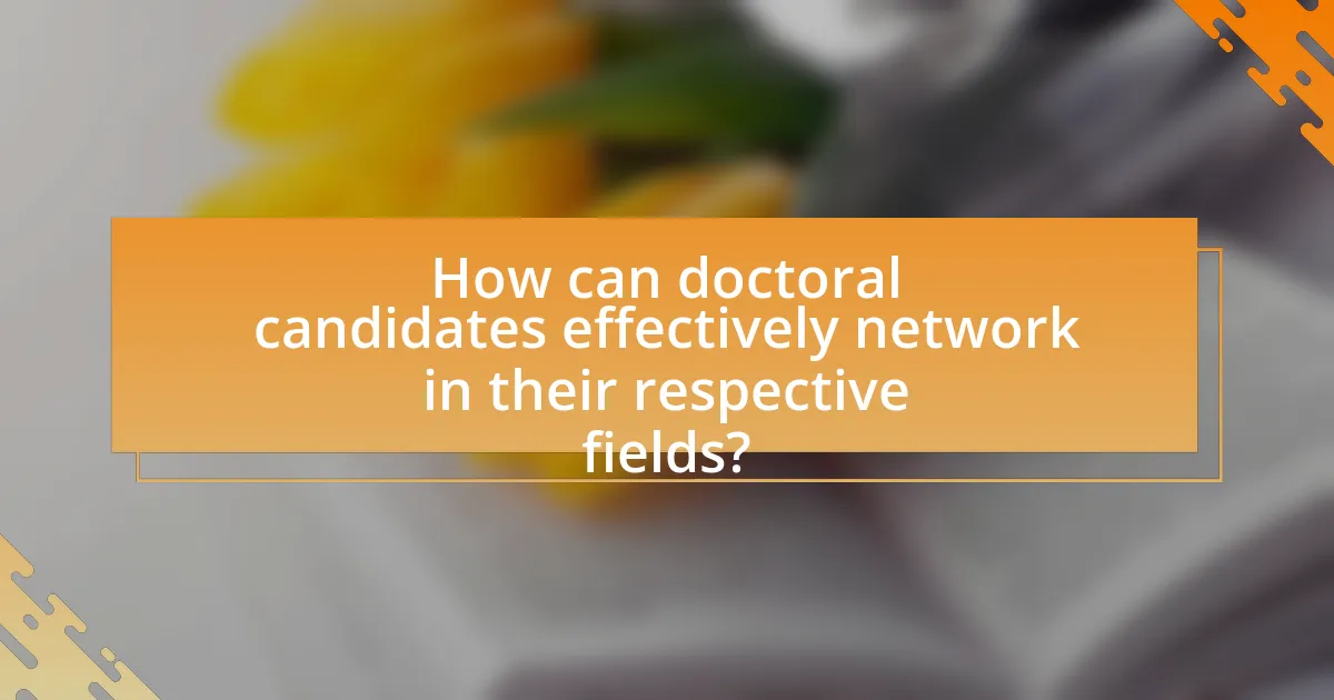 How can doctoral candidates effectively network in their respective fields?