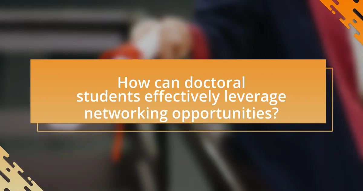 How can doctoral students effectively leverage networking opportunities?