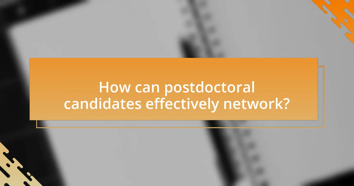 How can postdoctoral candidates effectively network?