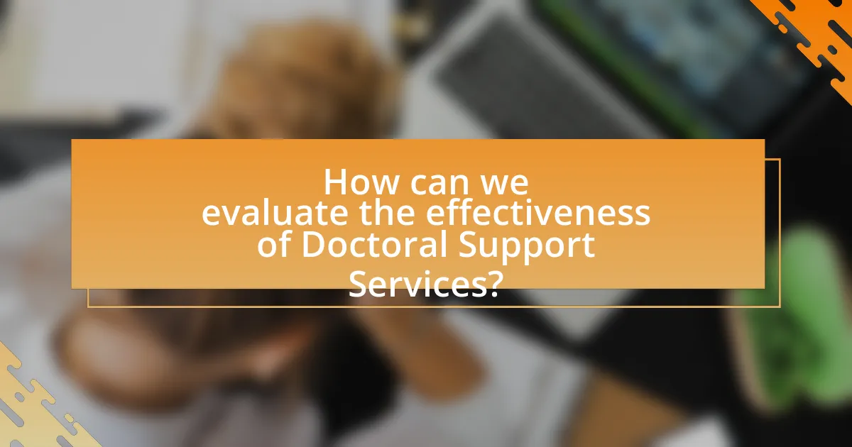 How can we evaluate the effectiveness of Doctoral Support Services?