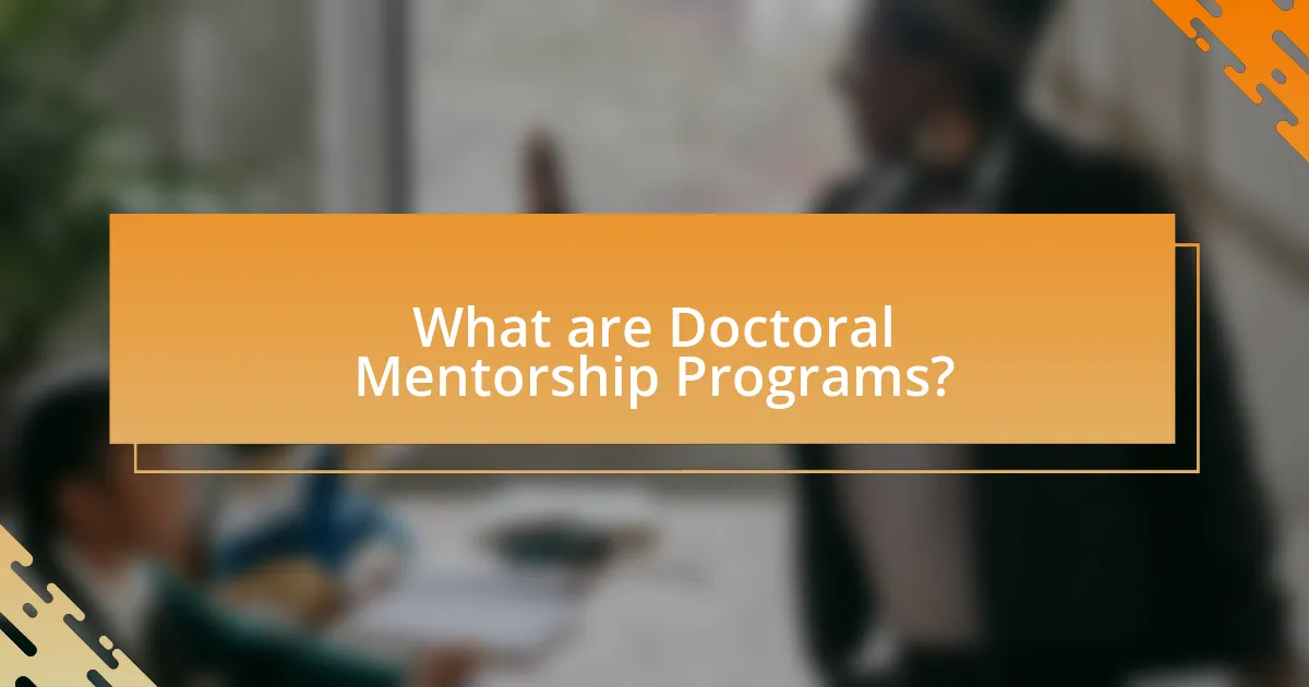 What are Doctoral Mentorship Programs?