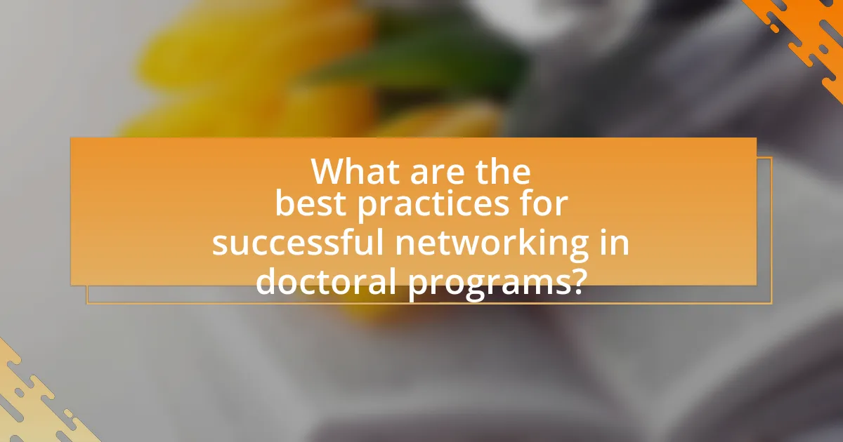 What are the best practices for successful networking in doctoral programs?