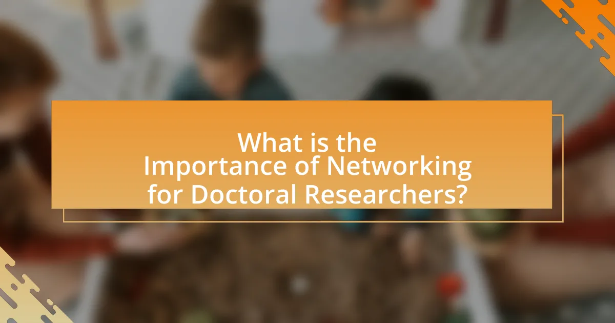 What is the Importance of Networking for Doctoral Researchers?