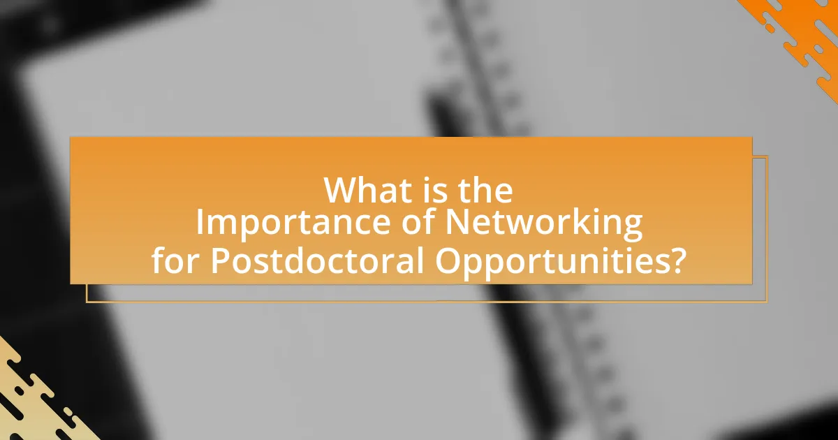 What is the Importance of Networking for Postdoctoral Opportunities?