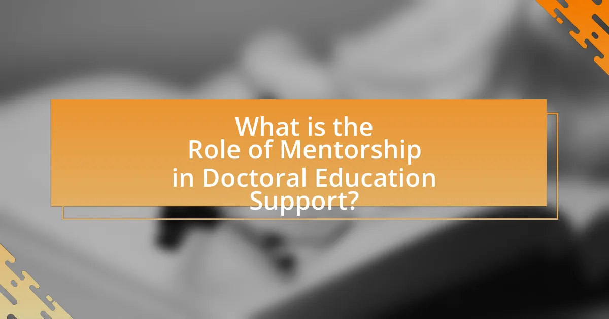 What is the Role of Mentorship in Doctoral Education Support?