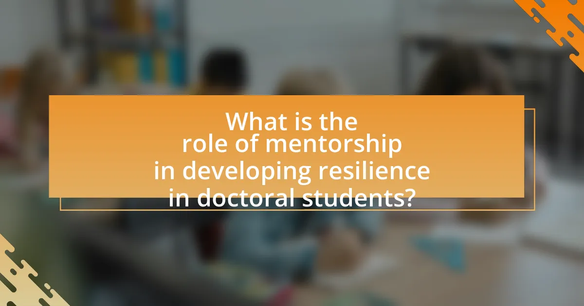 What is the role of mentorship in developing resilience in doctoral students?