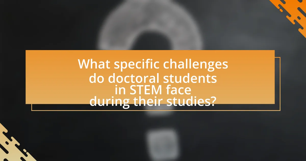 What specific challenges do doctoral students in STEM face during their studies?