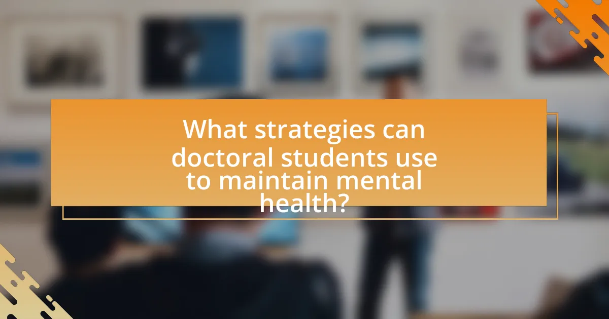 What strategies can doctoral students use to maintain mental health?