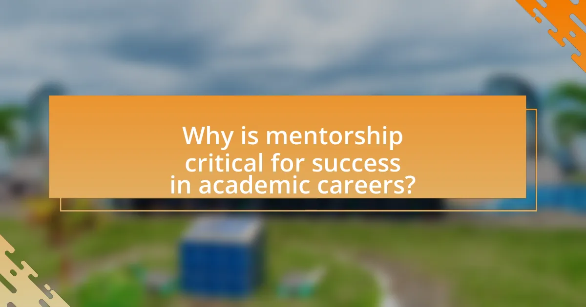 Why is mentorship critical for success in academic careers?